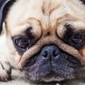 Does geothermal heating save money?